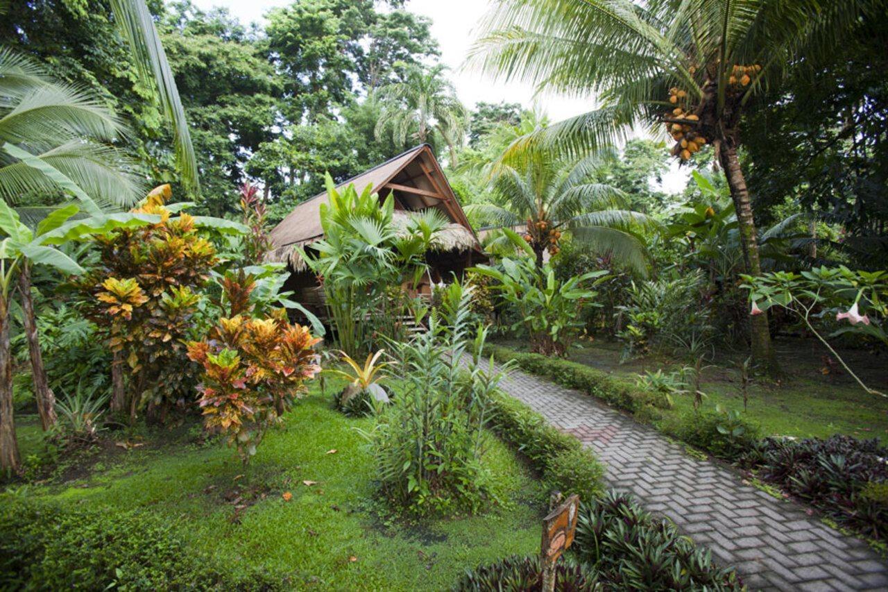 Azania Bungalows Puerto Viejo de Talamanca Exterior photo