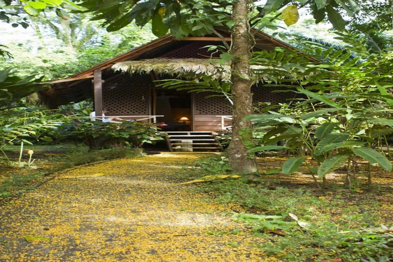 Azania Bungalows Puerto Viejo de Talamanca Exterior photo