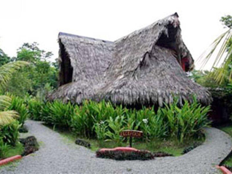 Azania Bungalows Puerto Viejo de Talamanca Exterior photo